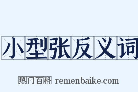 小型张反义词是什么意思的图片